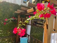 Apê casa Garden praia de Canasvieiras - Chambres d’hôtes Florianópolis