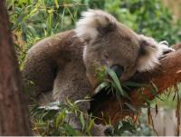 Guesthouse Nature Escape Sleeps up to 6 - Bed and Breakfast Heathcote