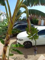 Appartement Les Vagues Vue sur Mer pour familles - B&B Oualidia