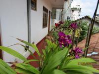 NEW SEA LION Guest House - Bed and Breakfast Hikkaduwa