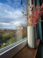 Haus am See - City meets nature - B&B Hildesheim