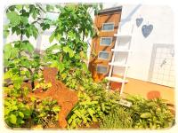 Ferienwohnung Rhöner Luft - B&B Bad Brückenau