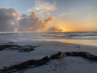 Garden Cottage with hot tub - B&B Scarborough