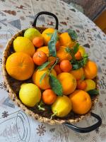 Thérèse Apartment - B&B Cefalù