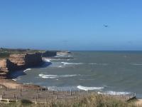 Welpen Chapa - Ferienwohnung Mar del Plata