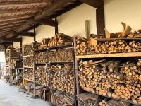 Kamida179 - B&B Miyahara