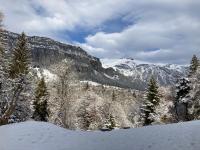 Apartment Flims - Studio Cassons - B&B Flims