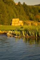 Lawendowe Rancho - B&B Szczytna