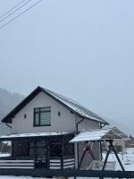 gray house kryvorivnya - Chambres d’hôtes Verkhovyna