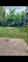 Amana - B&B Bandraboua