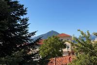Monolocale Standard con Vista Giardino 