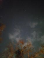 AuroPoP - Compact BR farmstay in Auroville - B&B Jāmb