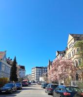 GreenTreeHomes - Stadtvilla Linde - B&B Ratisbona