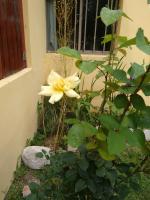 Hostería Rural Monte Bérico - B&B