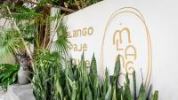 Mlango Paje House II - Bed and Breakfast Paje