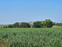 The Country Cabin with a View - Ferienwohnung Terang