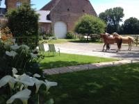 Les Chambres de Ribeaufontaine - B&B