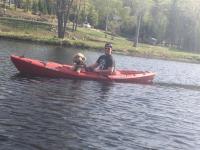 Muskoka Cottage on a 4 Lake Chain - B&B Burk's Falls