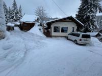 Zafir House Harghita Bai Ski - B&B Harghita-Băi