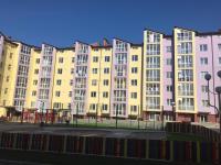 Комфортні апартаменти 48, квартира-студія - B&B Serafyntsi