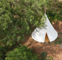 Les Cabânes-Tipi Paco en pleine nature - Bed and Breakfast La Tour-sur-Orb