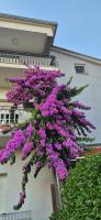 By Osibov Wellness Holiday Home for Families and Groups - Bed and Breakfast Kutleše