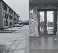 Teona Apartament Targu Neamt - Ferienwohnung Târgu Neamţ