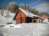 Dřevěnka pod strání - B&B Černý Důl