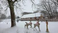 Historical Bullfinch Cottage - Amazing Day Trips! - B&B Tim
