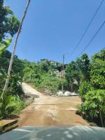 Le Vert Santal - T2 chaleureux et confortable - B&B Sada