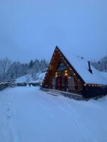 Riverside A-frame - B&B Borşa
