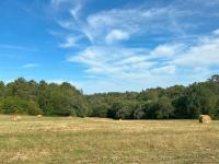 Hikari - B&B Saint-Marcory