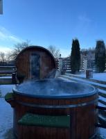 Pensiunea Lavinia Daniel - Bed and Breakfast Borşa