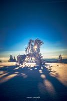 FEWO zum gscheiten Beck mit Garten - B&B Feldberg