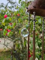 Cabana e Hospedaria La Casita ``AURORA`` - B&B Navegantes