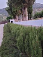 El Oasis de Periana - Bed and Breakfast Torre del Mar