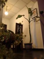 D Mount Villa - B&B Ahangama