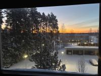 Kodikas kerrostaloyksiö - Chambres d’hôtes Seinäjoki