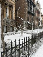 Boutique Cogels Osy - Chambres d’hôtes Anvers