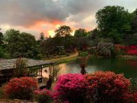 AfriCamps Magoebaskloof - B&B Magoebaskloof