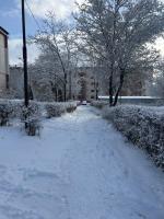 TwinNest Petrila - B&B Petrila