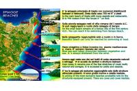 Il Veliero B&B - B&B Gaeta