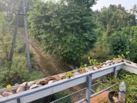 Spice garden farm stay - Bed and Breakfast Kuttali