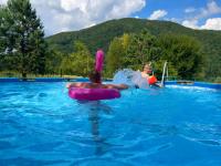 Садиба в горах - B&B Solochyn