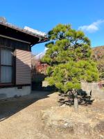 #47 Sayama - Bed and Breakfast Tsurumi