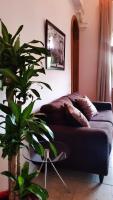 Suite Executive con cama de 1,5 x 2,05