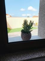 Casinhas do Penedo - B&B Canelas