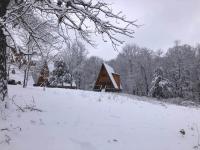 Dogwood Den- Cozy Forest A-Frame Near Bentonville - B&B Rogers