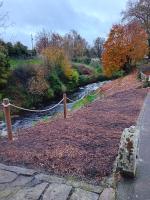 River View at Silver River - B&B Cadamstown