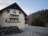 Pensiunea Ramona - B&B Suceviţa